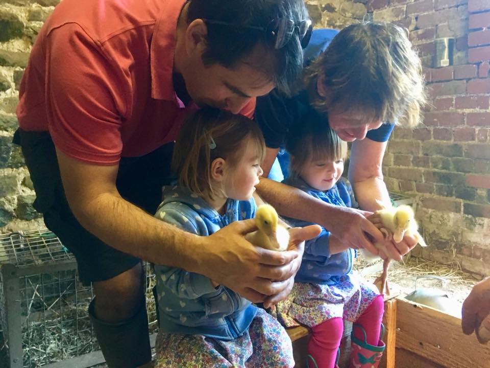 The Popitha Twins are helping Farmer Chris move the ducklings