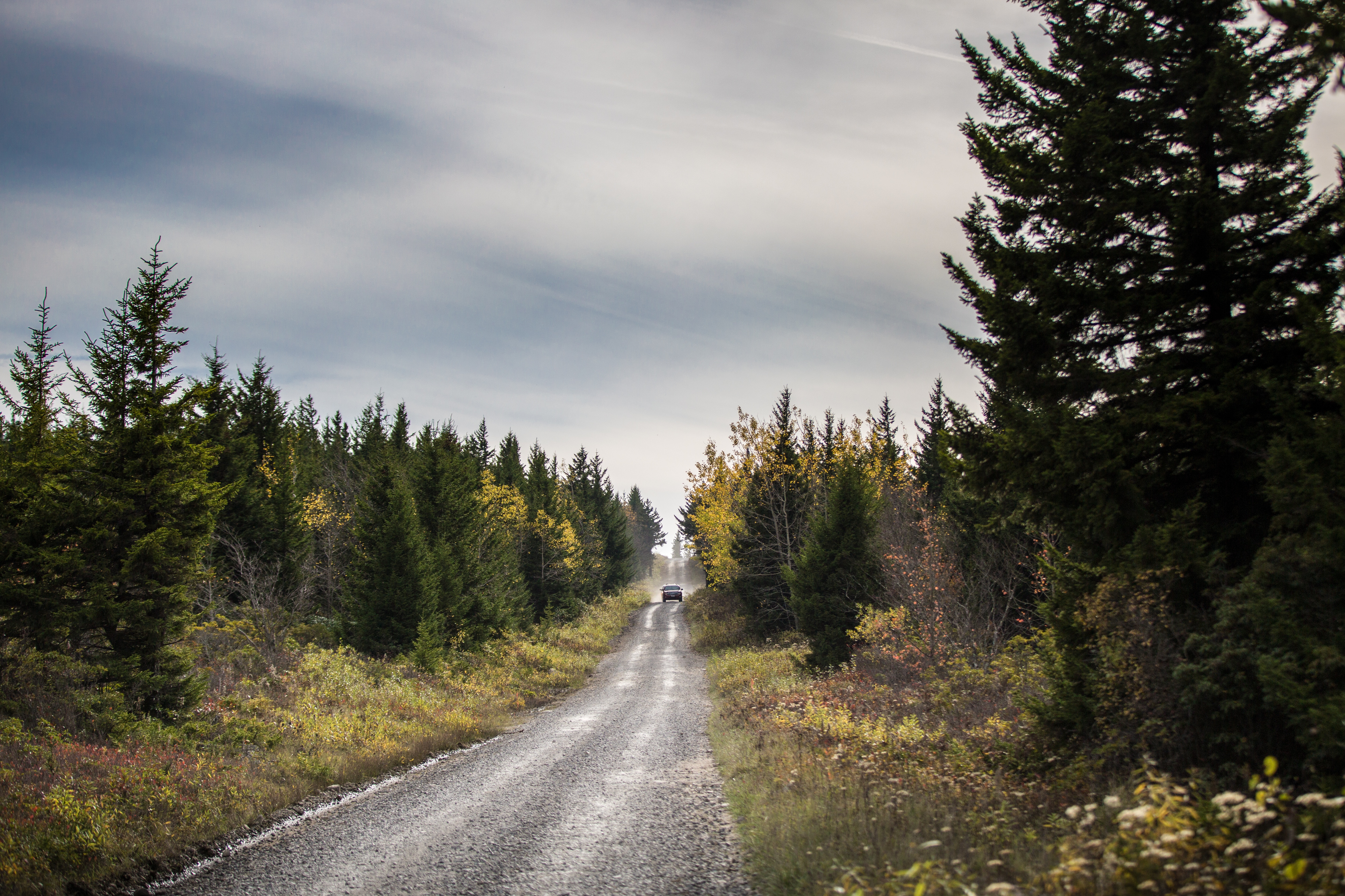 Car going on a long journey down an open road - healthy snacks for kids