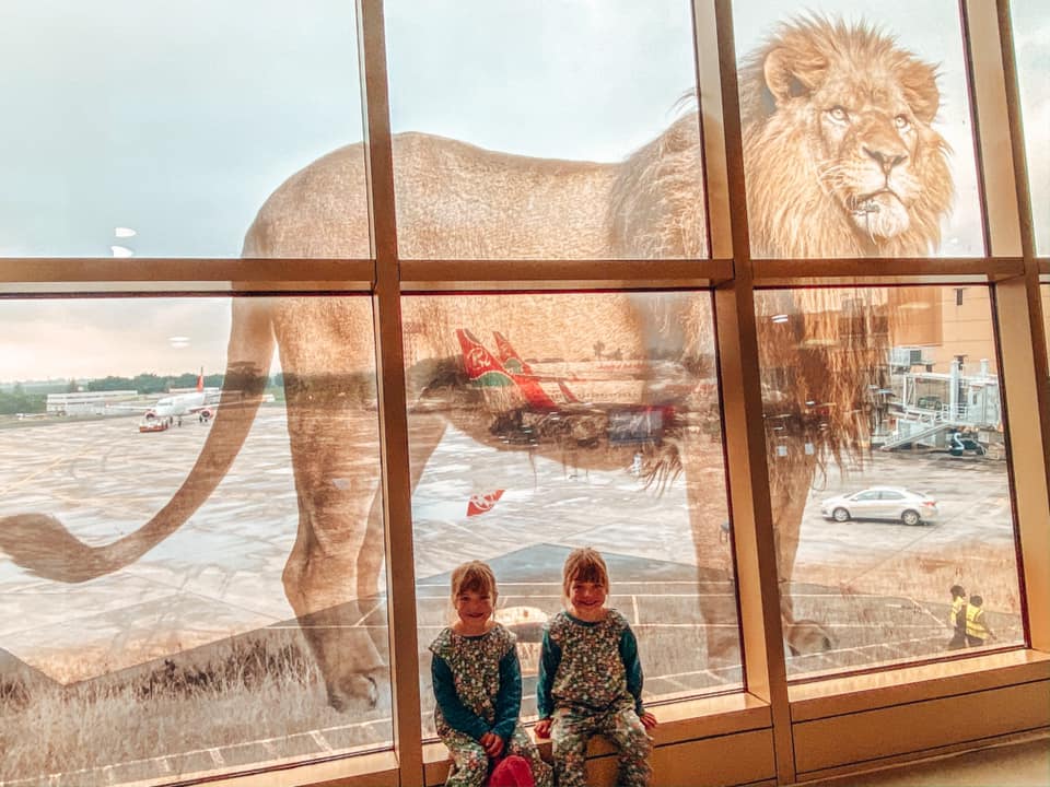 image of twins sat in a window ledge overlooking aircrafts with a image of a lion as a large reflection in the glass