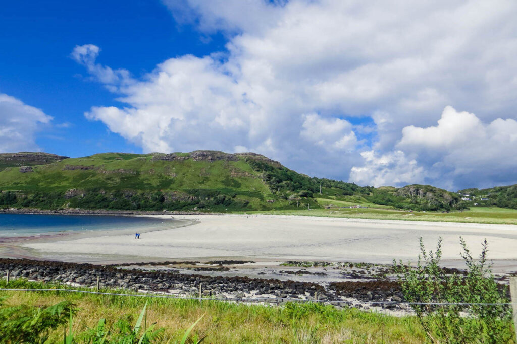 beach surrounded by grassland 