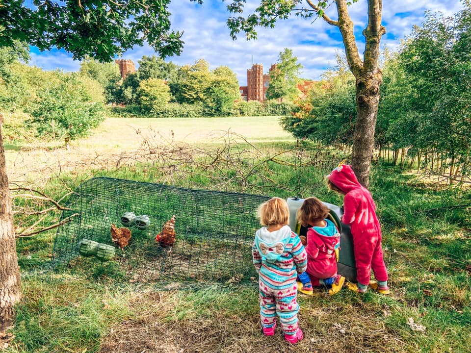 three children looking at chickens in a chicken coop with Layer Marney Tower in the distance