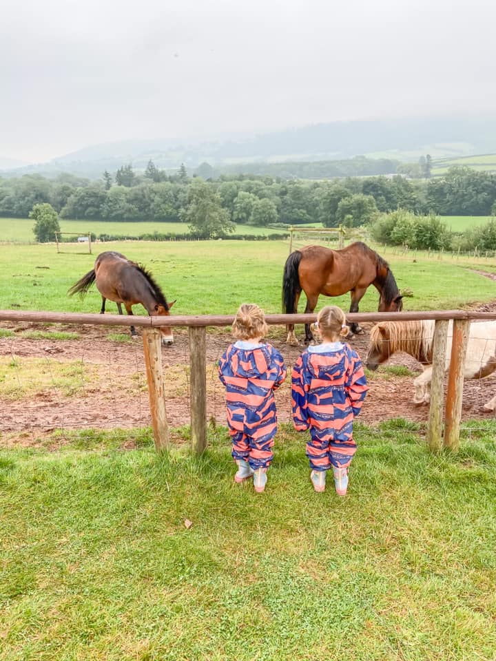 two young girls standing looking out over the fields at ponies