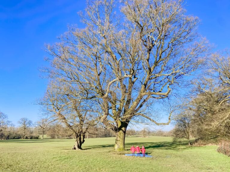 three children in a large park with huge old tree and lots of puddles