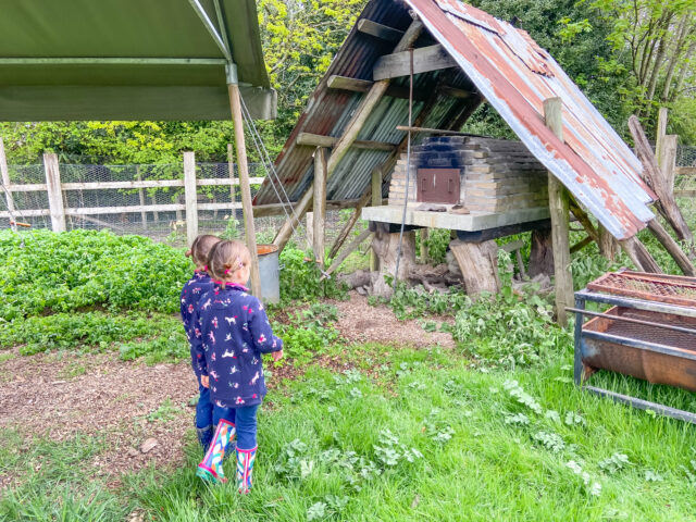 Twin girls looking at the Pizza over at Feather Down farm