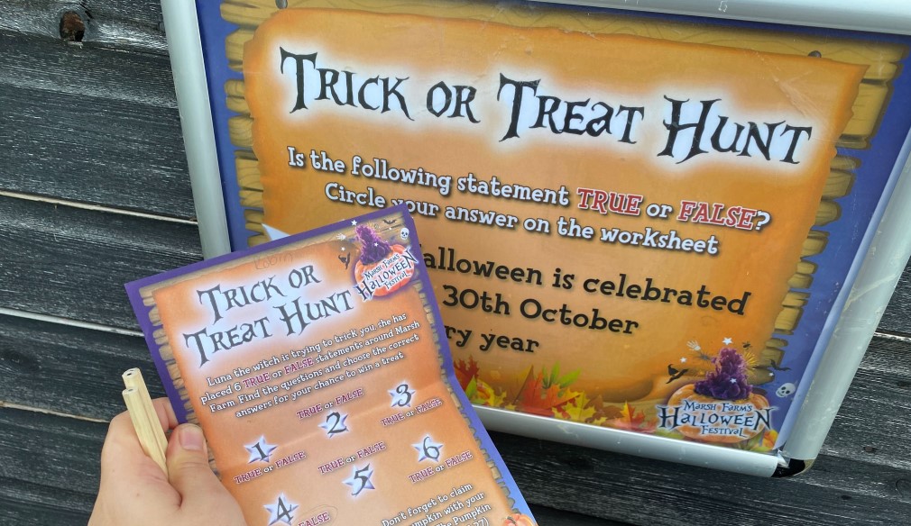 trick or treat flyer for Marsh farm pumpkin patch in essex