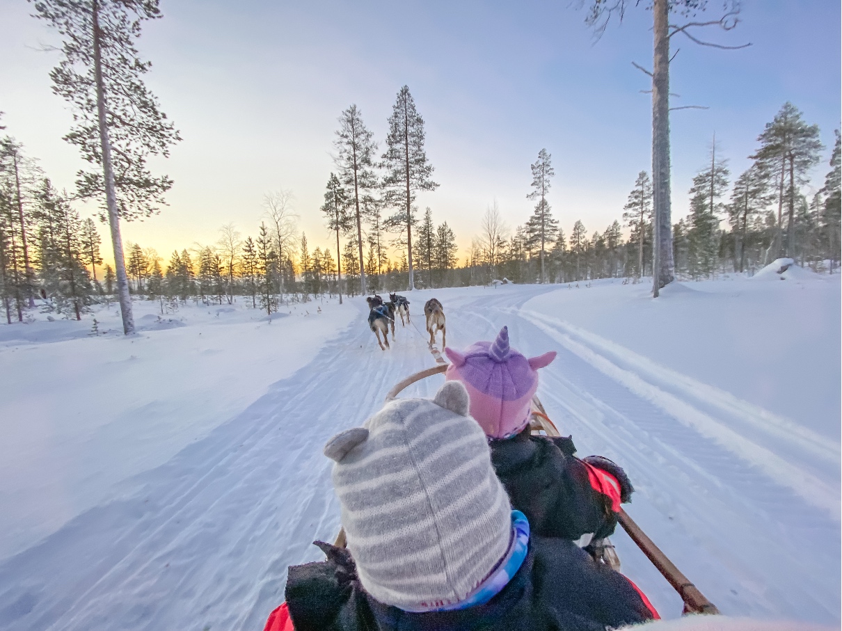 husky rides in Santa's Lapland