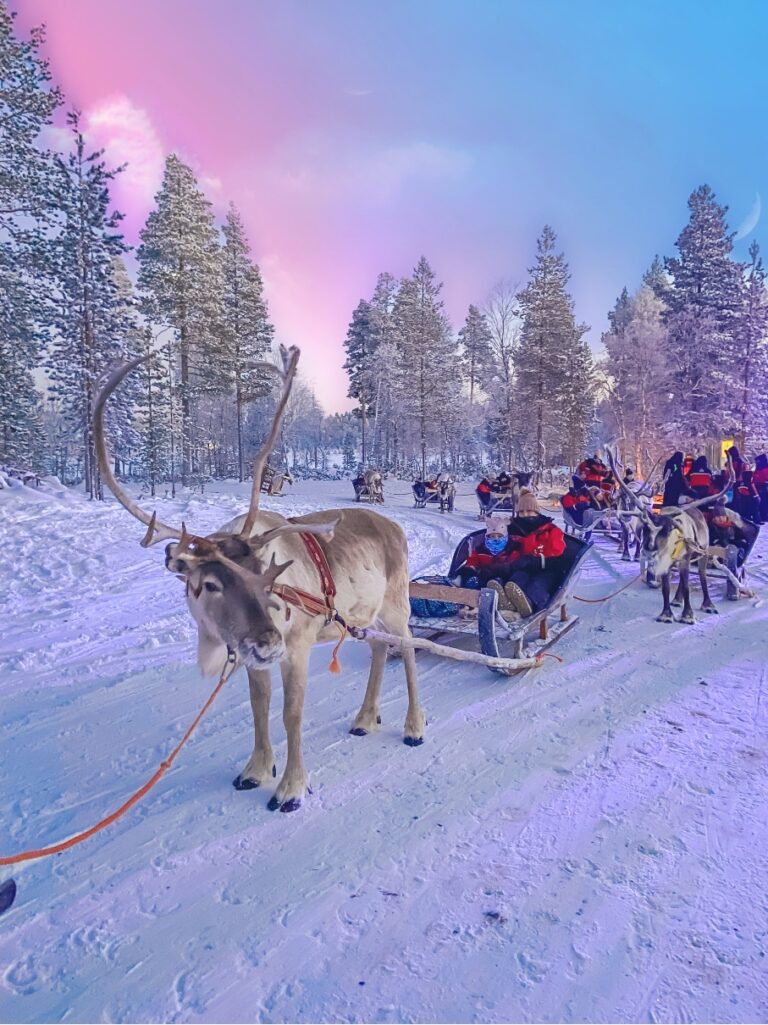 lapland trips christmas 2022