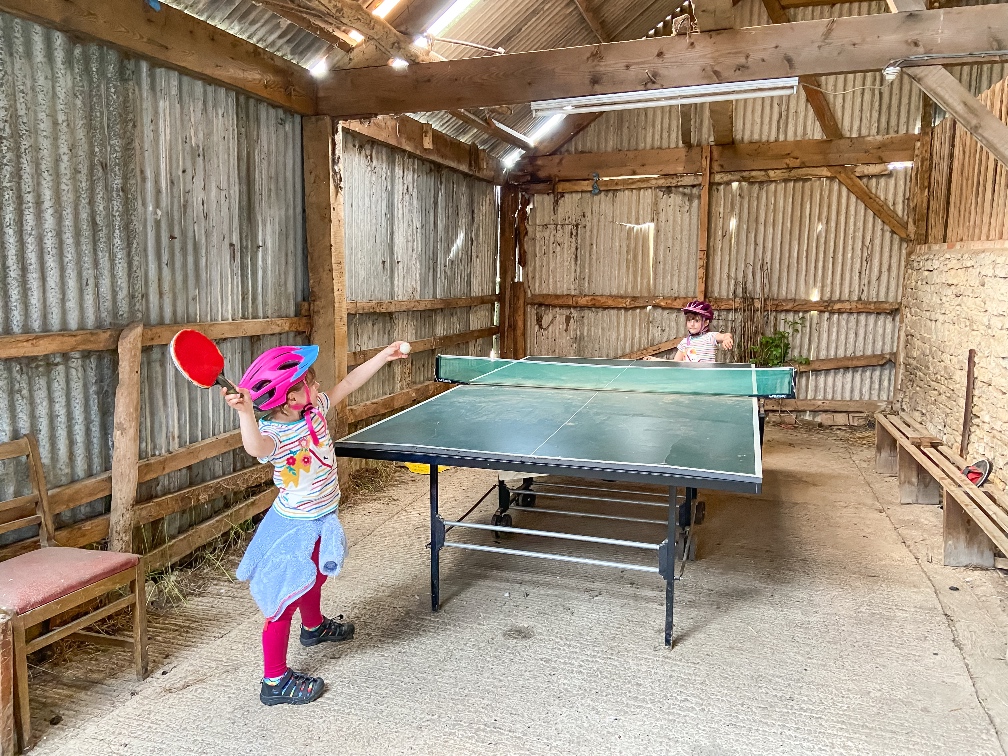 Feather Down Farms New Farm Barn table tennis table