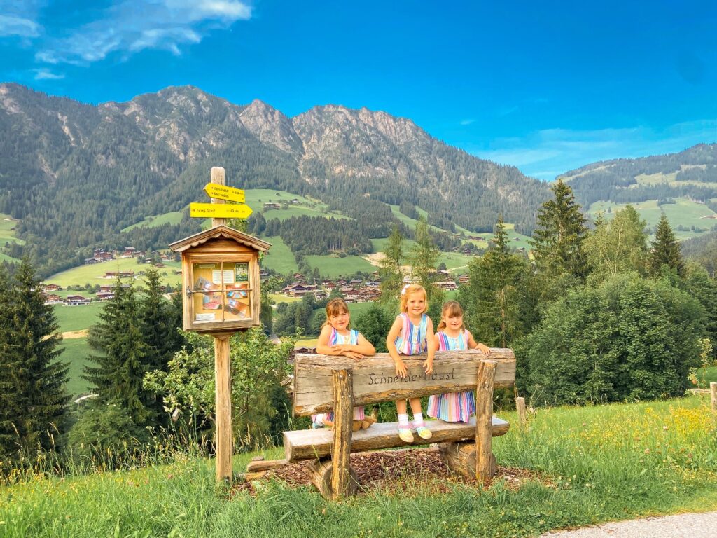 Summer in Austria Alpbachtal views bench