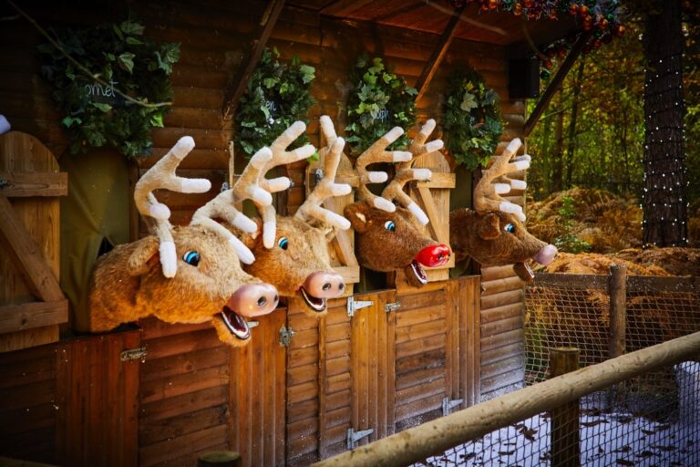 Center Parcs at Christmas Santas Woodland Workshop Reindeers