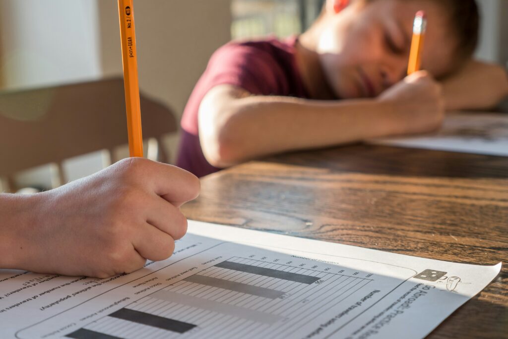revision for GCSEs